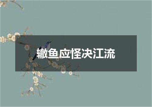 辙鱼应怪决江流