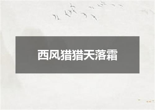 西风猎猎天落霜