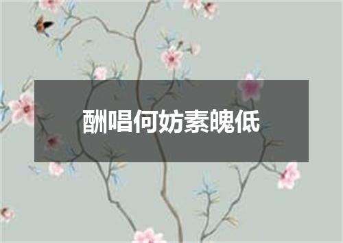 酬唱何妨素魄低