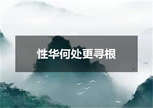 性华何处更寻根