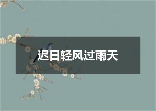 迟日轻风过雨天