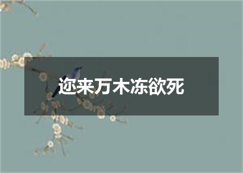 迩来万木冻欲死
