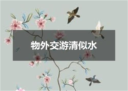 物外交游清似水