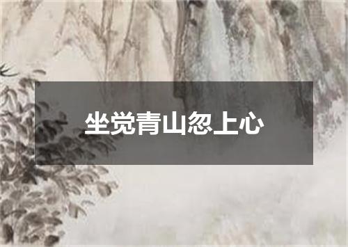 坐觉青山忽上心