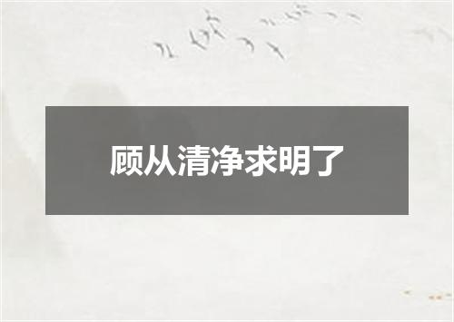 顾从清净求明了