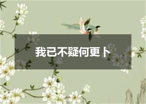 我已不疑何更卜
