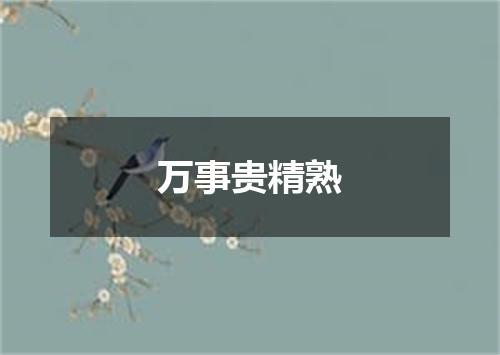 万事贵精熟