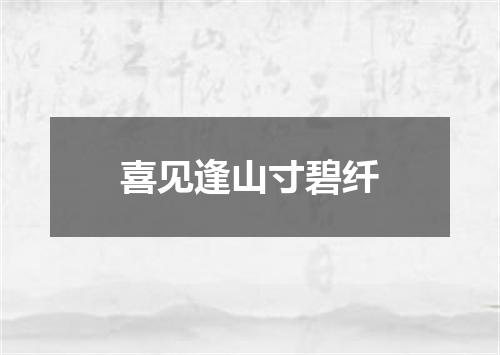 喜见逢山寸碧纤