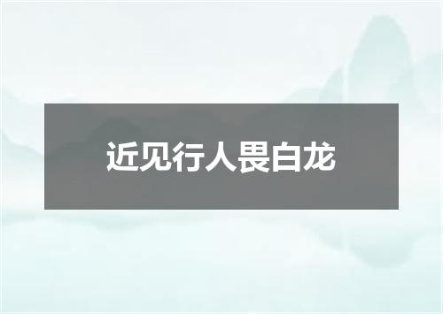 近见行人畏白龙