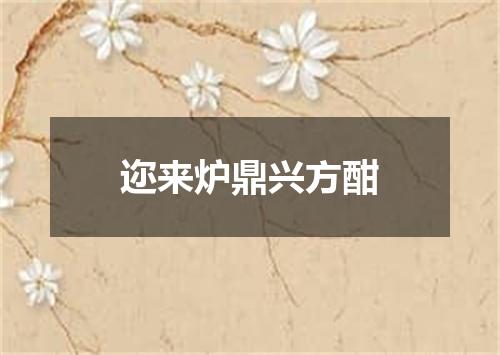 迩来炉鼎兴方酣