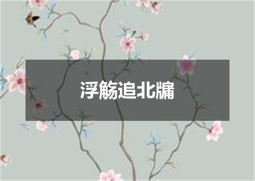 浮觞追北牖