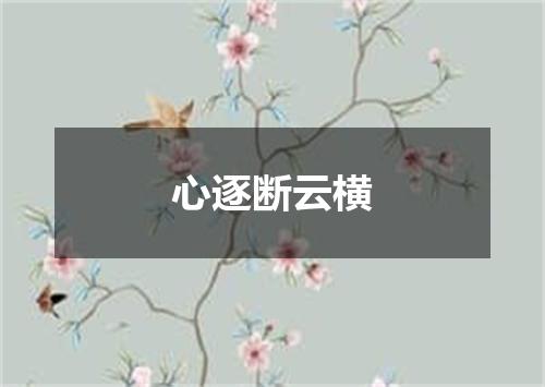 心逐断云横