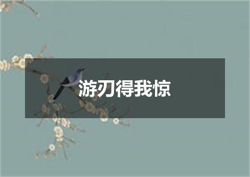 游刃得我惊