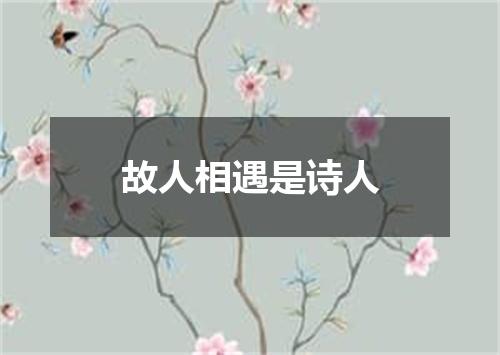 故人相遇是诗人
