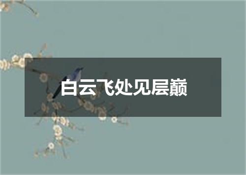 白云飞处见层巅