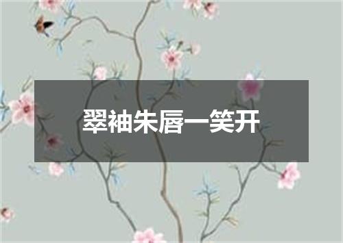 翠袖朱唇一笑开