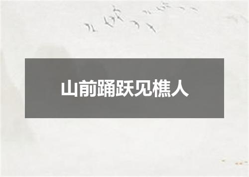 山前踊跃见樵人