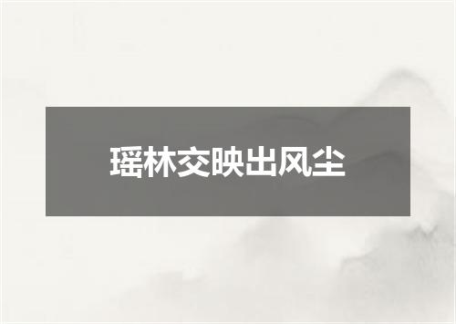 瑶林交映出风尘