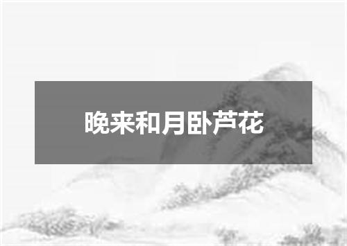晚来和月卧芦花