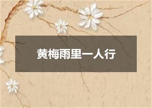 黄梅雨里一人行