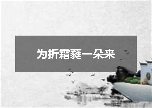 为折霜蕤一朵来