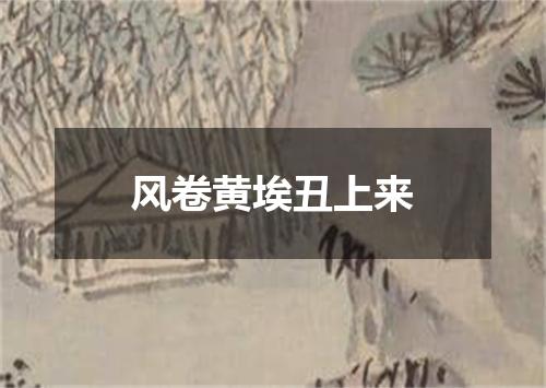 风卷黄埃丑上来