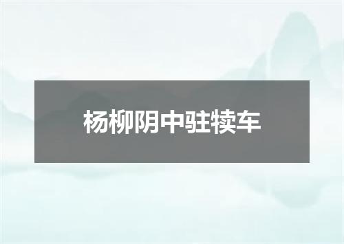 杨柳阴中驻犊车