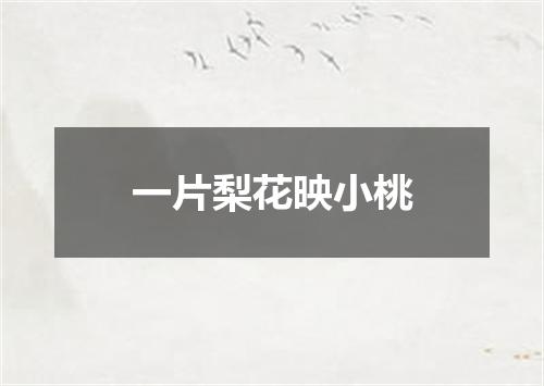 一片梨花映小桃