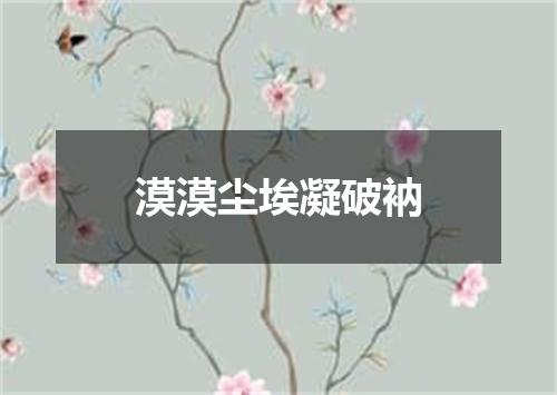 漠漠尘埃凝破衲
