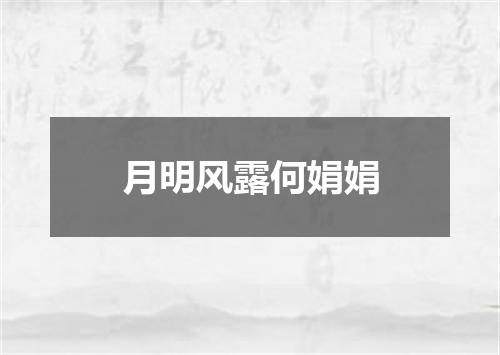 月明风露何娟娟