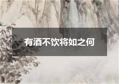 有酒不饮将如之何