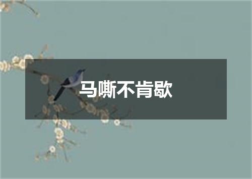 马嘶不肯歇