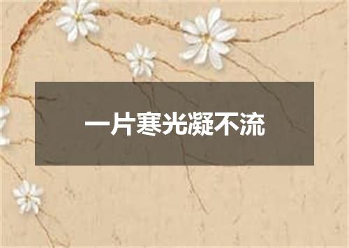 一片寒光凝不流