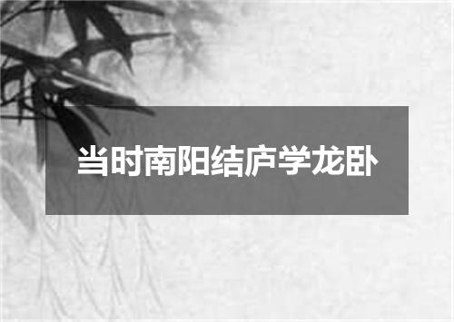 当时南阳结庐学龙卧