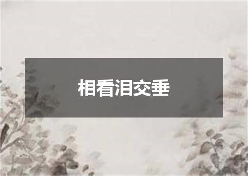 相看泪交垂