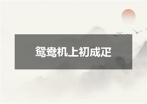 鸳鸯机上初成疋
