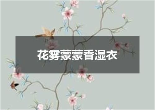 花雾蒙蒙香湿衣