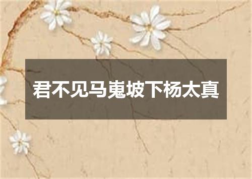 君不见马嵬坡下杨太真
