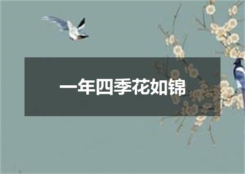 一年四季花如锦