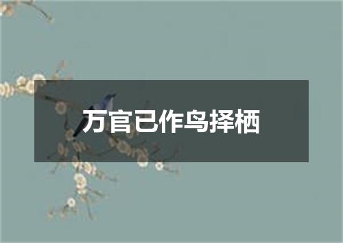 万官已作鸟择栖