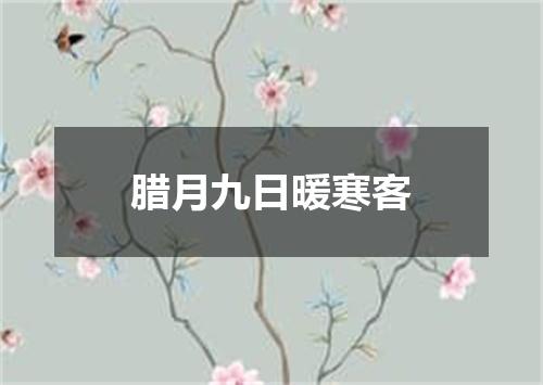 腊月九日暖寒客