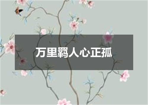 万里羁人心正孤