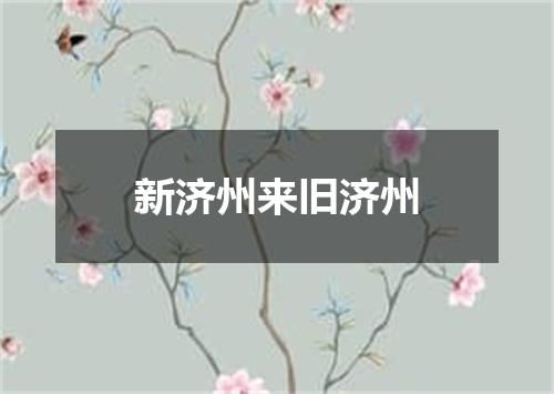 新济州来旧济州