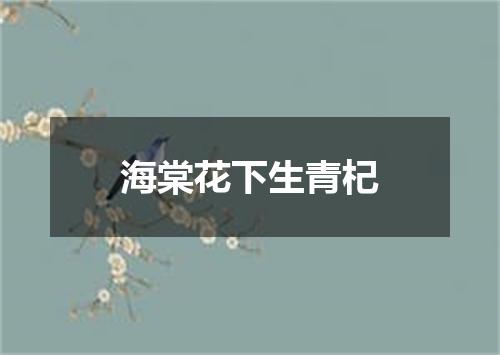海棠花下生青杞