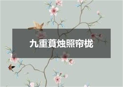九重蕡烛照帘栊