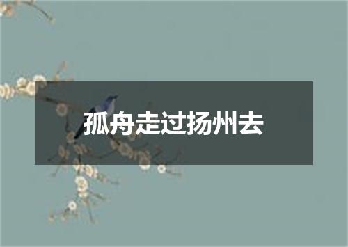 孤舟走过扬州去