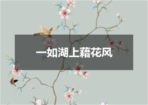 一如湖上藉花风