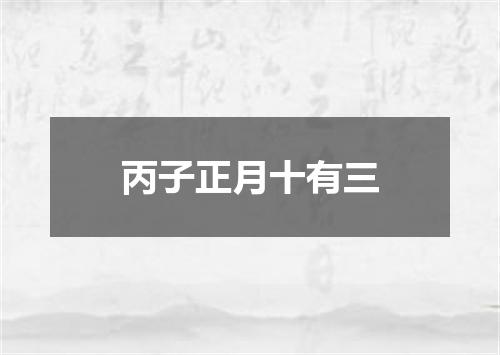 丙子正月十有三
