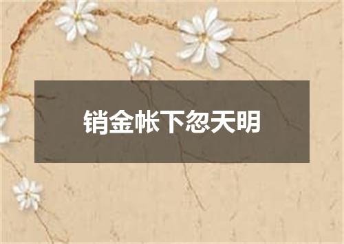 销金帐下忽天明