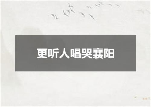 更听人唱哭襄阳